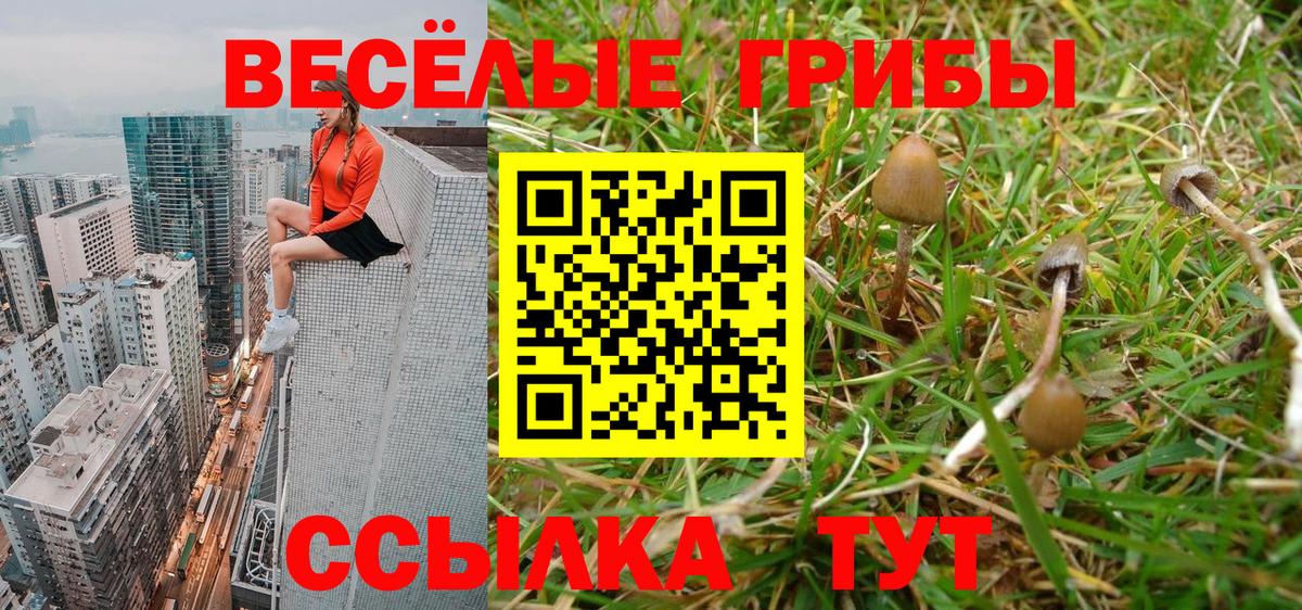 Псилоцибиновые грибы Magic Shrooms  Вход с VPN  Коломна 