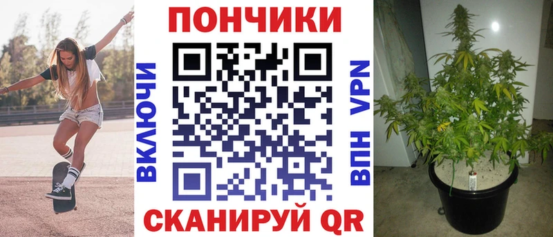 Бошки марихуана MAZAR  цена   маркетплейс телеграм  Коломна 